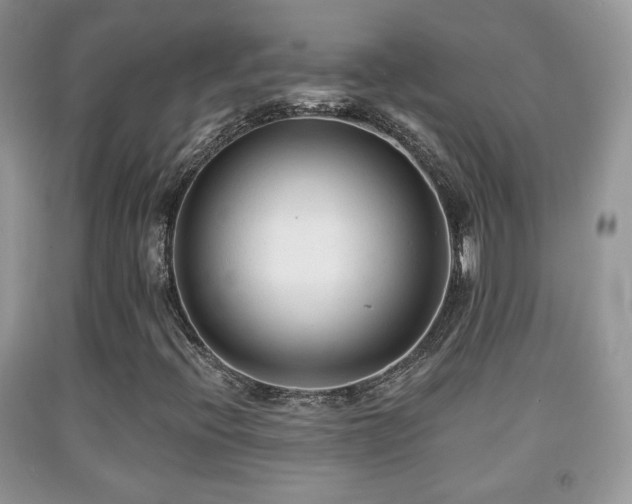 X0000091951396200709061231