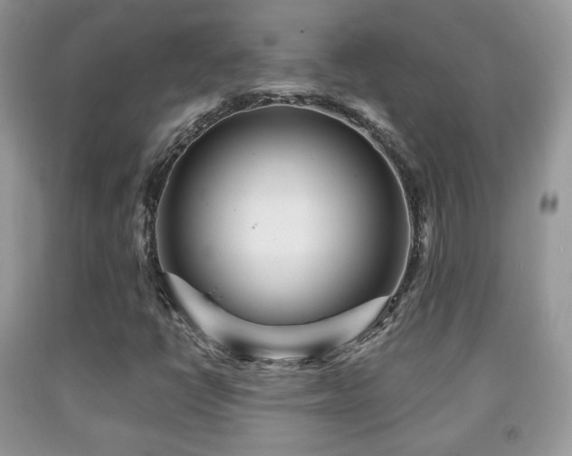 X0000091951398200709061231