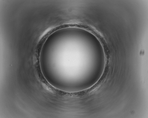 X0000091951400200709061231