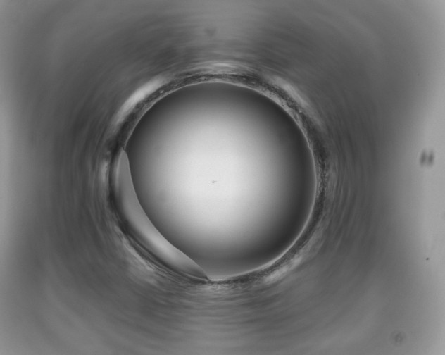 X0000091951402200709061231