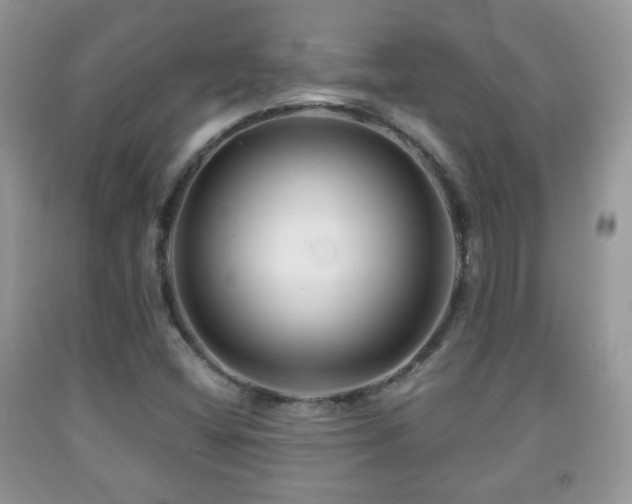 X0000091951404200709061231