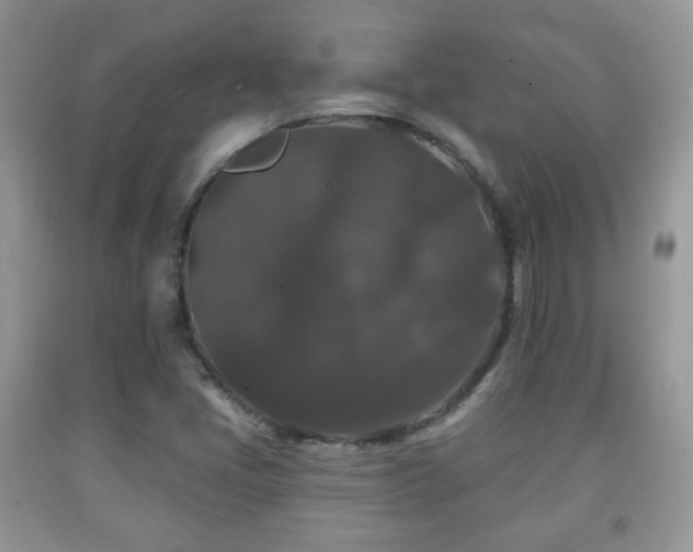 X0000091951405200709061231