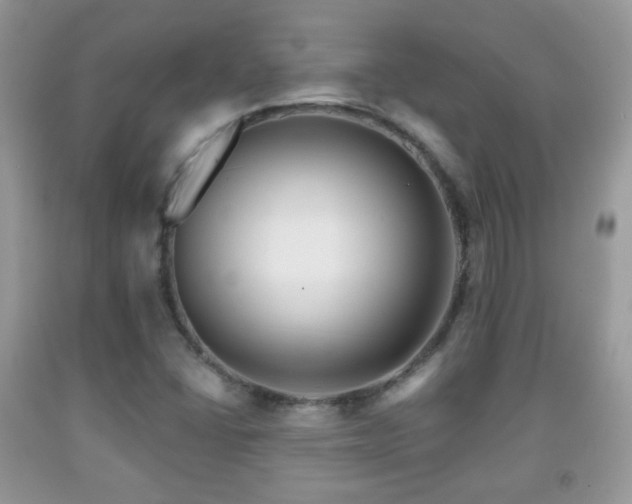 X0000091951406200709061231