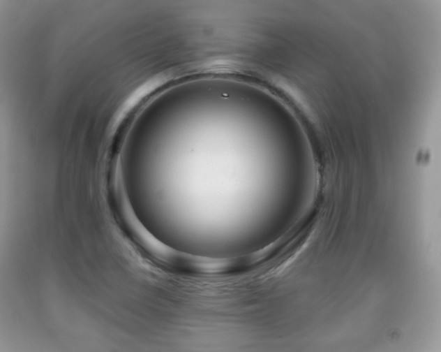 X0000091951410200709061231