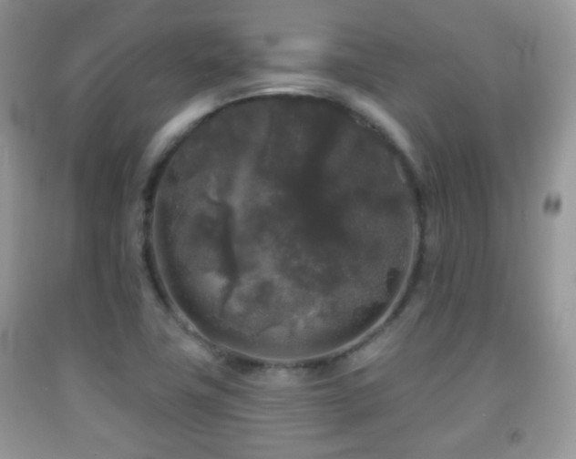 X0000091951411200709061231