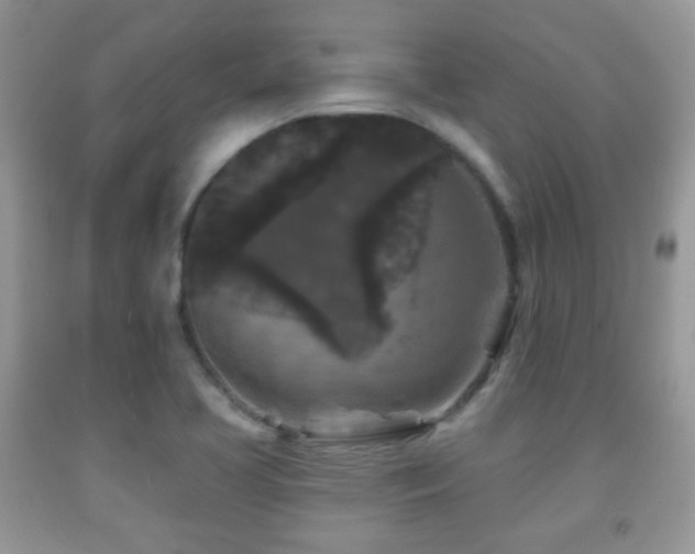 X0000091951413200709061231