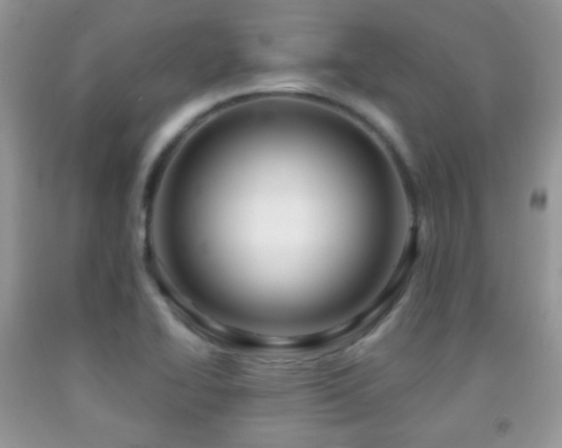 X0000091951414200709061231