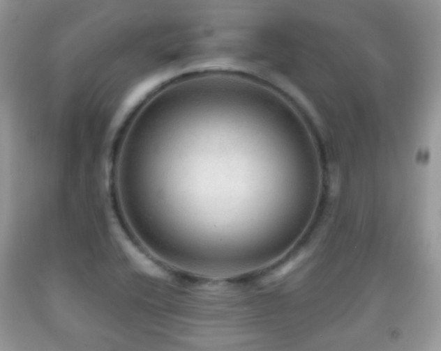 X0000091951416200709061231