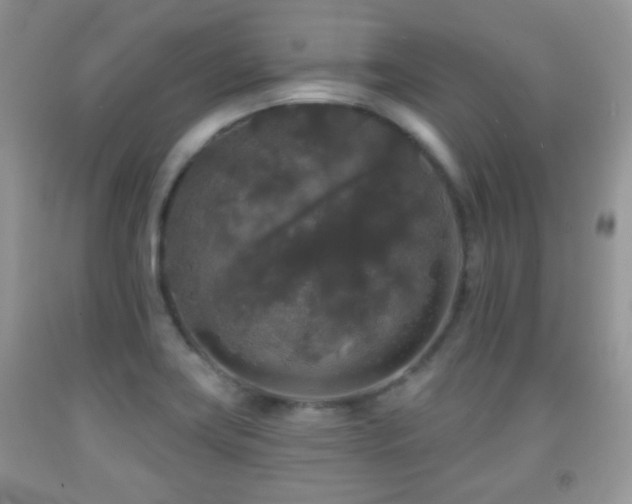 X0000091951419200709061231