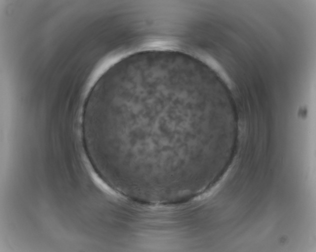 X0000091951421200709061231