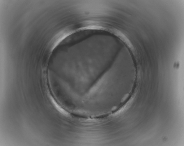 X0000091951425200709061231