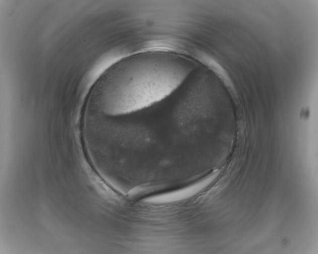 X0000091951427200709061231