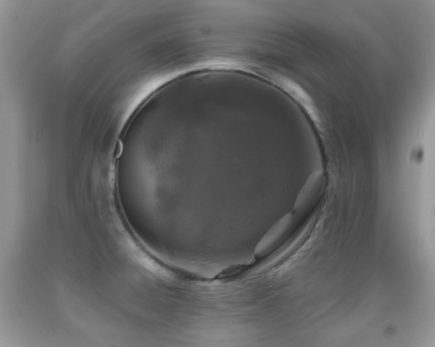 X0000091951428200709061231