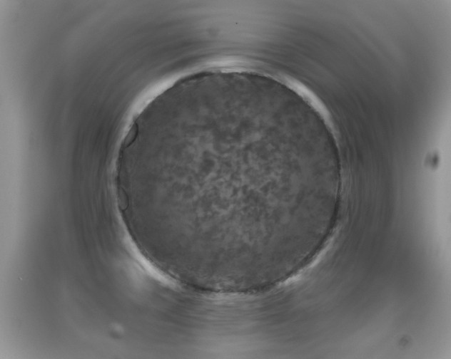 X0000091951429200709061231