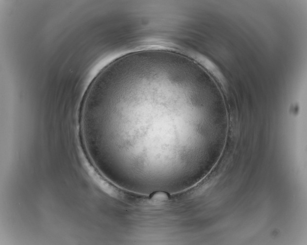 X0000091951431200709061231