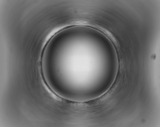 X0000091951432200709061231