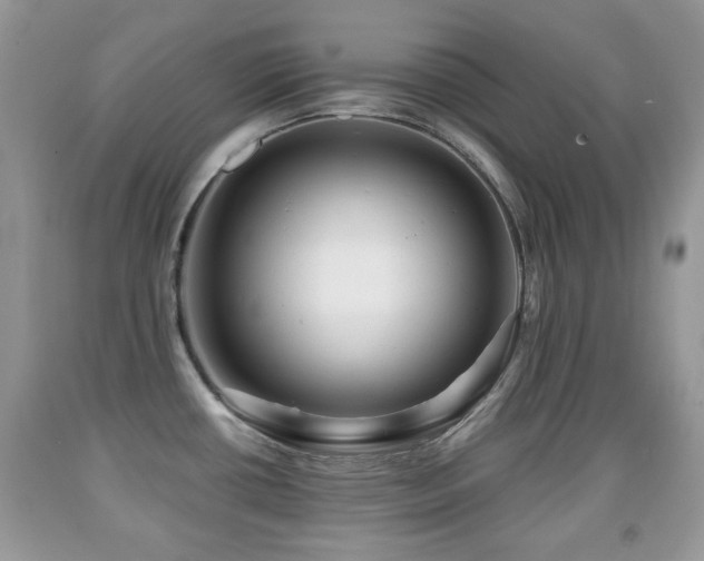 X0000091951434200709061231