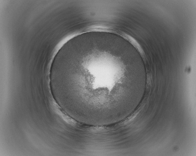 X0000091951435200709061231