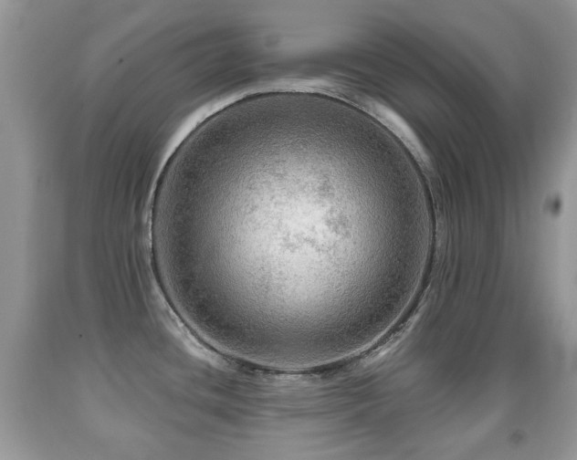 X0000091951436200709061231