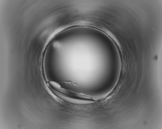 X0000091951437200709061231