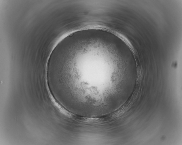 X0000091951439200709061231