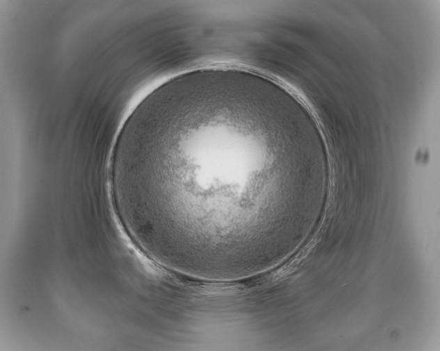 X0000091951440200709061231