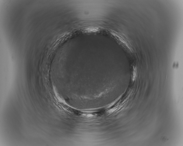 X0000091951441200709061230