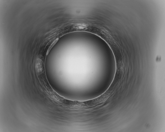 X0000091951442200709061230