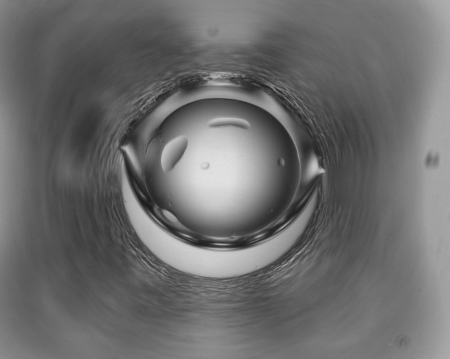 X0000091951443200709061230