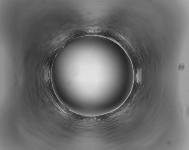 X0000091951444200709061230