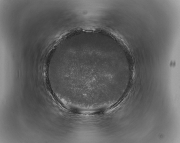 X0000091951445200709061230