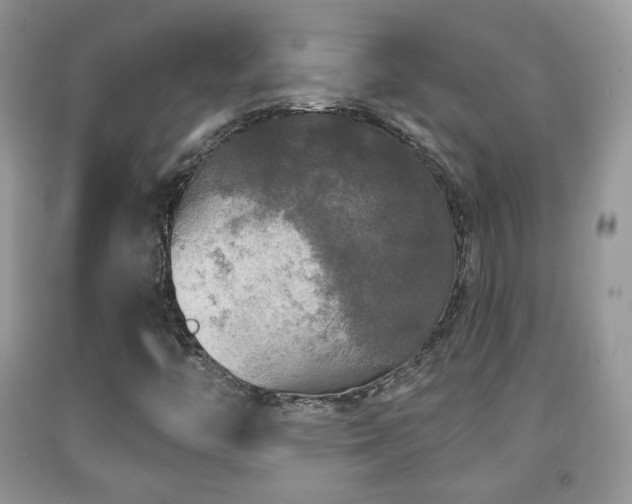 X0000091951446200709061230