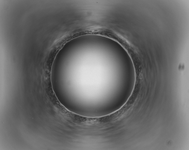 X0000091951447200709061230