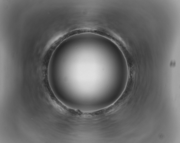 X0000091951448200709061230