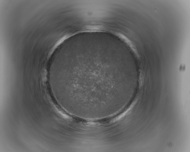X0000091951449200709061230