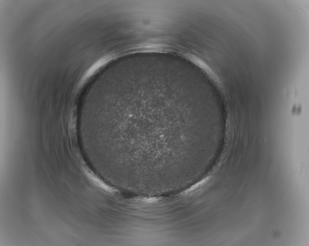 X0000091951450200709061230