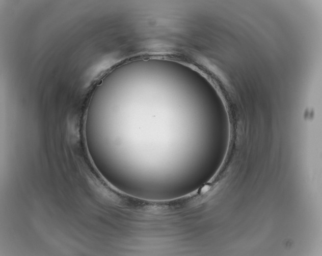 X0000091951451200709061230
