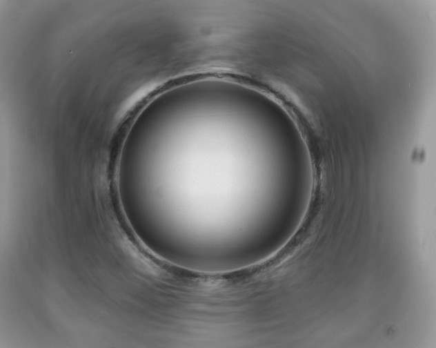X0000091951452200709061230