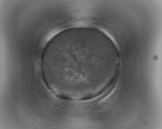 X0000091951453200709061230