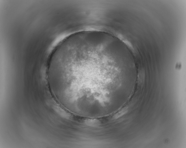 X0000091951454200709061230
