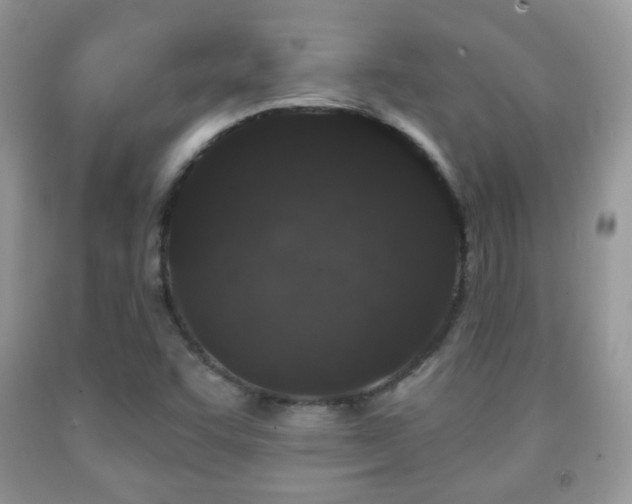 X0000091951455200709061230