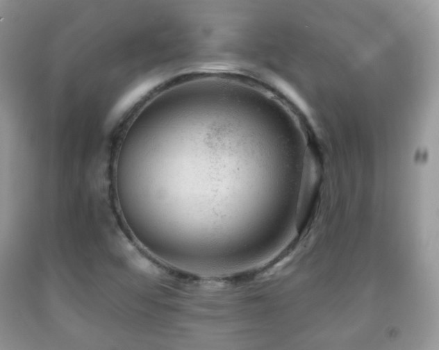 X0000091951456200709061230