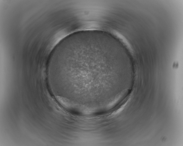 X0000091951457200709061230