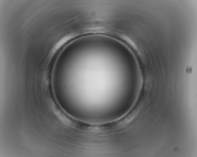 X0000091951458200709061230