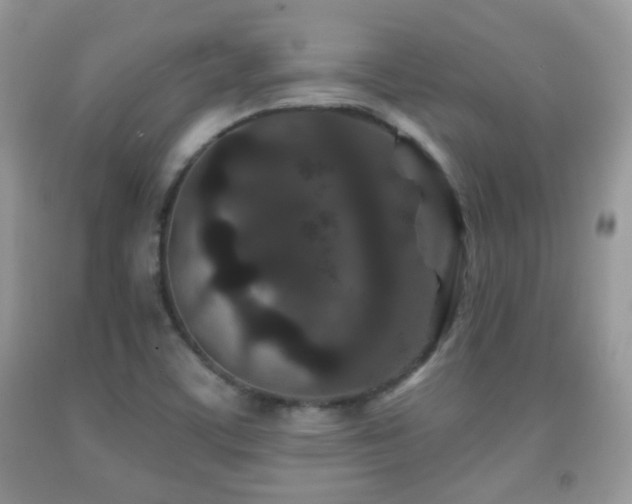 X0000091951459200709061230