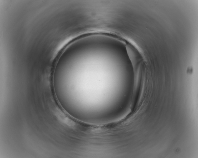 X0000091951460200709061230