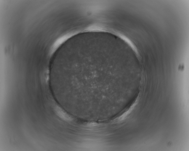 X0000091951461200709061230