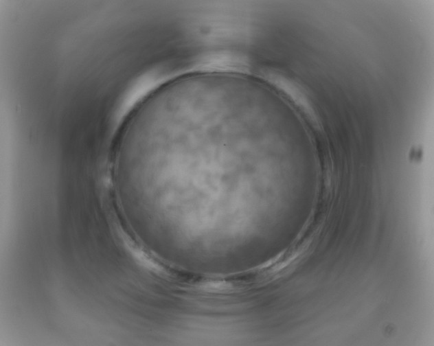 X0000091951462200709061230