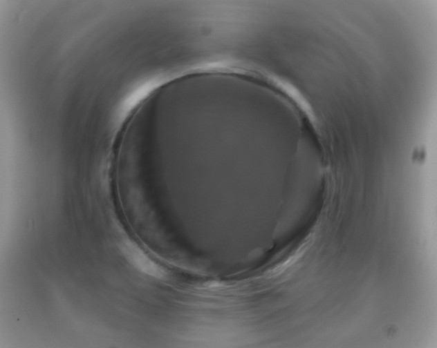 X0000091951463200709061230