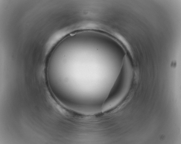 X0000091951464200709061230